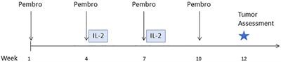 A phase Ib study of interleukin-2 plus pembrolizumab for patients with advanced melanoma